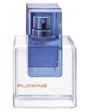 Тестер Puma Flowing за мъже EDT